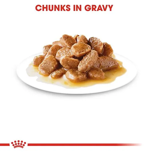 Royal Canin Mini Adulte Sauce – 85g miniature 2