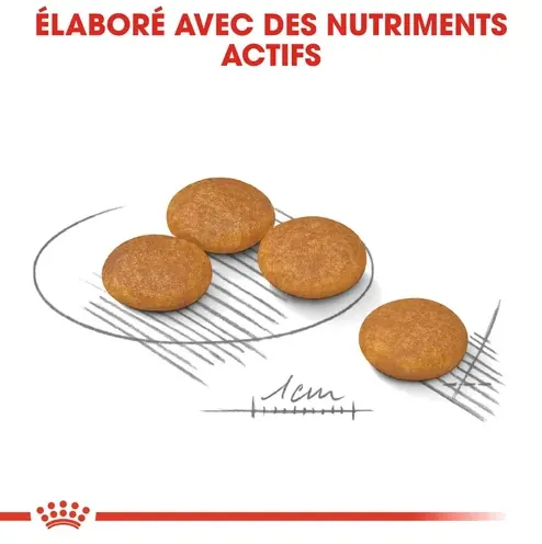 Royal Canin Mini Dermacomfort 3 Kg miniature 3