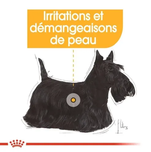 Royal Canin Mini Dermacomfort 3 Kg miniature 5