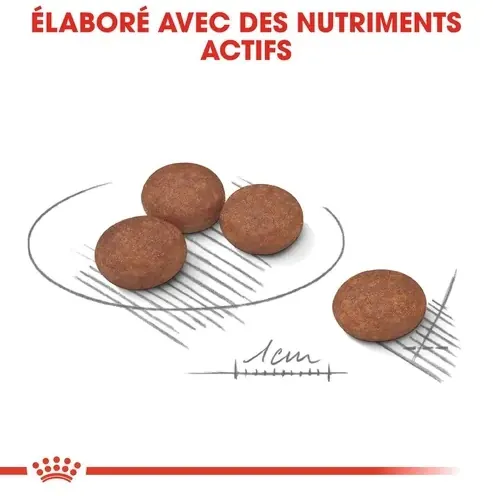Royal Canin Mini Digestive Care 3 Kg miniature 4