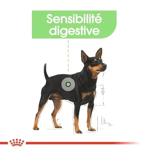 Royal Canin Mini Digestive Care 3 Kg miniature 5