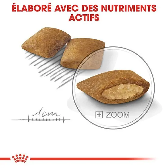 Royal Canin Mini Exigent 3kg miniature 3