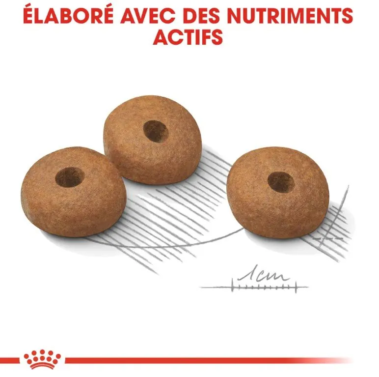 Royal Canin Mini Light Weight Care 3 Kg miniature 3