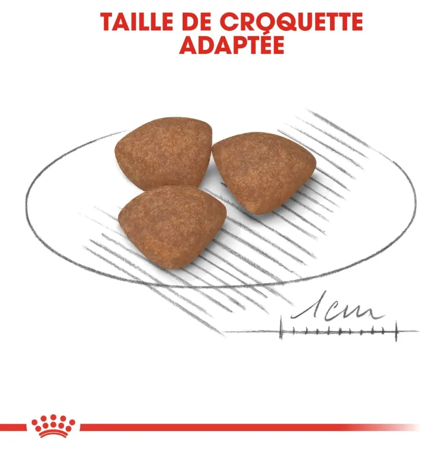 Royal Canin Mini Puppy 2 kg | 4 kg | 8 kg miniature 4