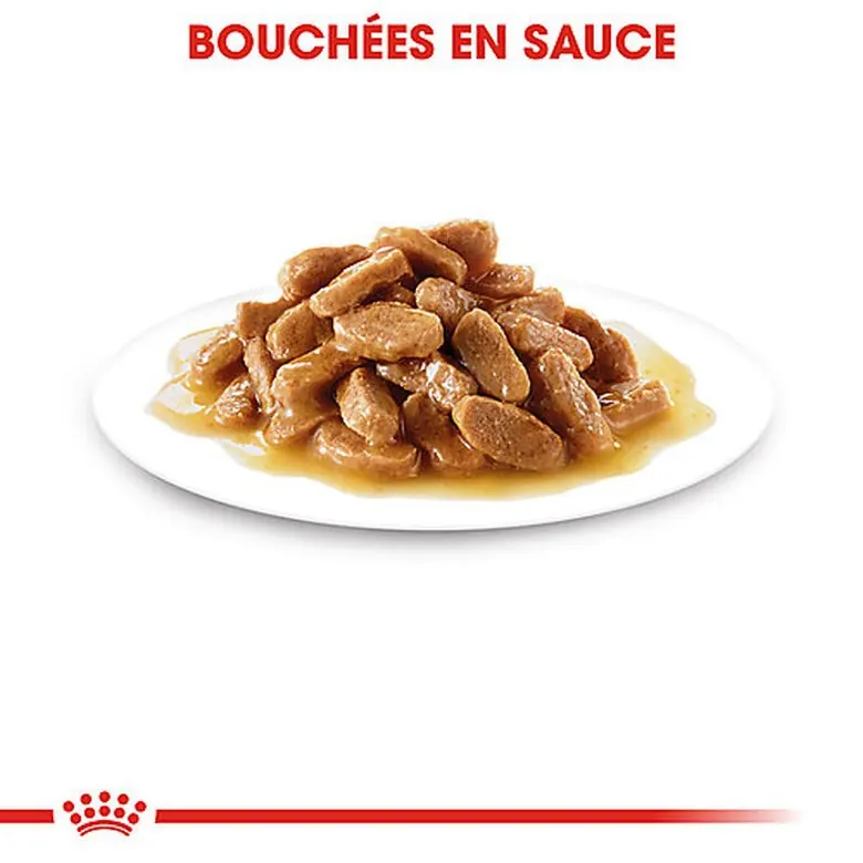 Royal Canin Mini Puppy Sauce Pour Chiot – 85G Promo* miniature 3