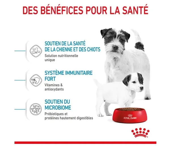 Royal Canin Mini Starter Mother And Babydog 4kg miniature 2