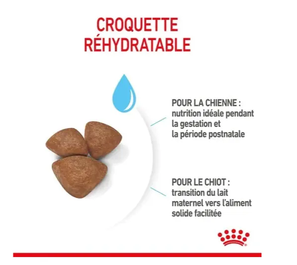 Royal Canin Mini Starter Mother And Babydog 4kg miniature 4