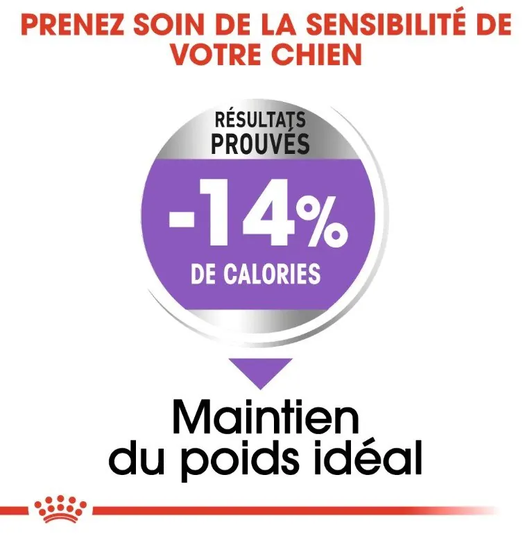 Royal Canin Mini Sterilised 3 kg miniature 2