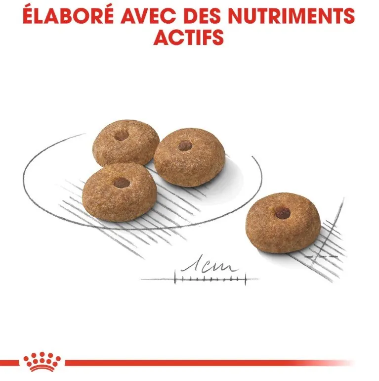 Royal Canin Mini Sterilised 3 kg miniature 3
