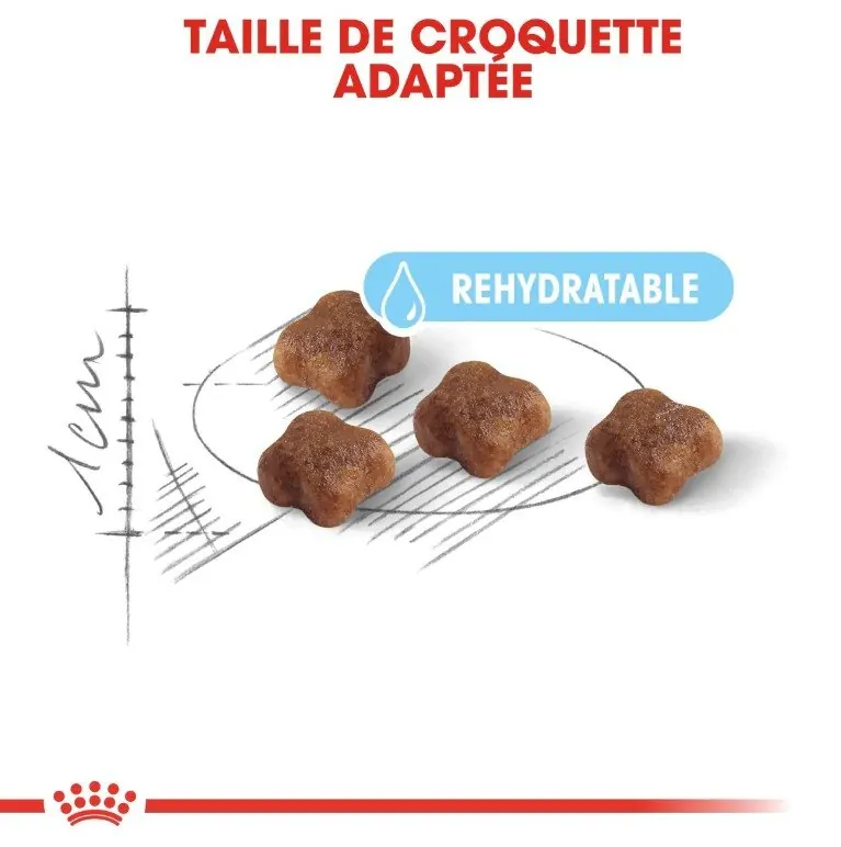 Royal Canin Mother Babycat 2 kg | 4 kg miniature 5