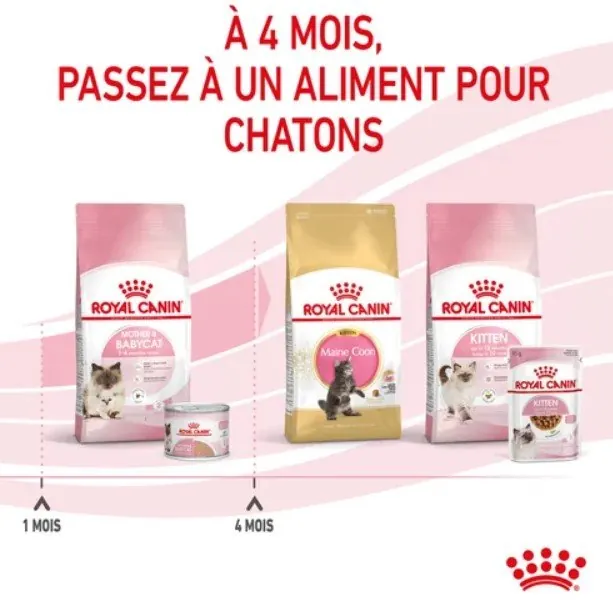 Royal Canin Mother Babycat Mousse pour chatte et chaton 195 g miniature 4