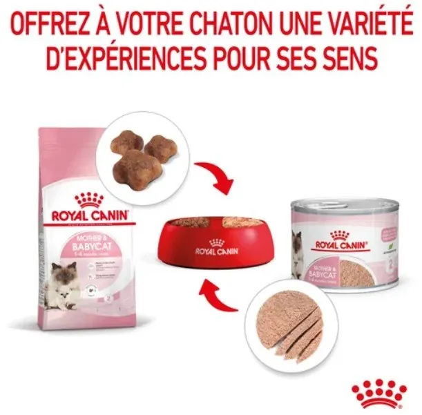 Royal Canin Mother Babycat Mousse pour chatte et chaton 195 g miniature 5