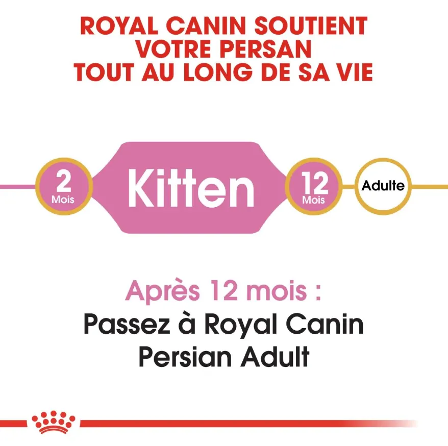 Royal Canin Persian Kitten 2 Kg miniature 5