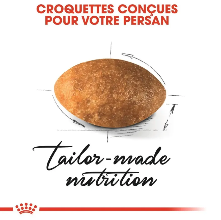 Royal Canin Persian Adulte 2 Kg miniature 3