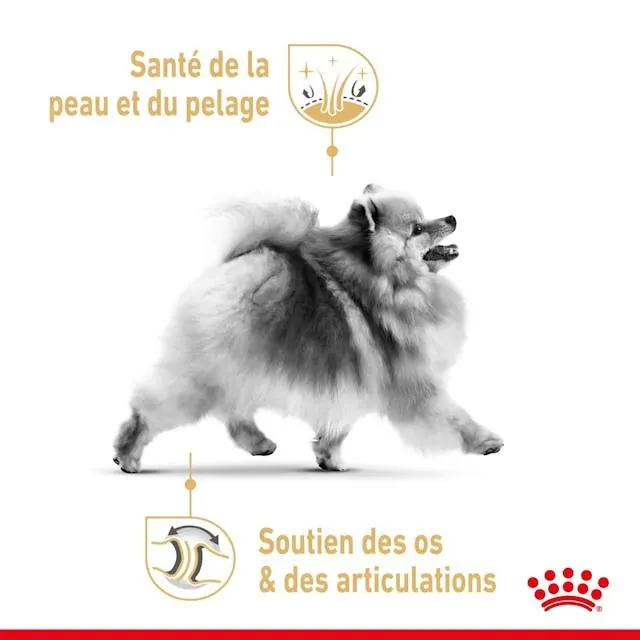 Royal Canin Pomeranian (Spitz Nain) Adulte 1.5 Kg Promo* miniature 4