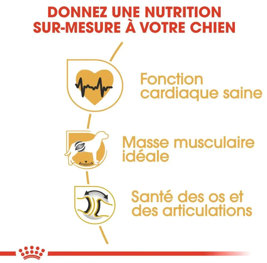 Royal Canin Rottweiler Adulte 12 Kg Promo miniature 2