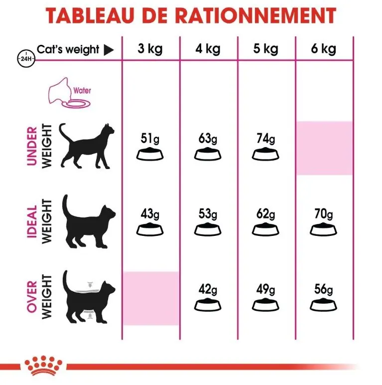 Royal Canin Fussy Exigent 2 Kg miniature 5
