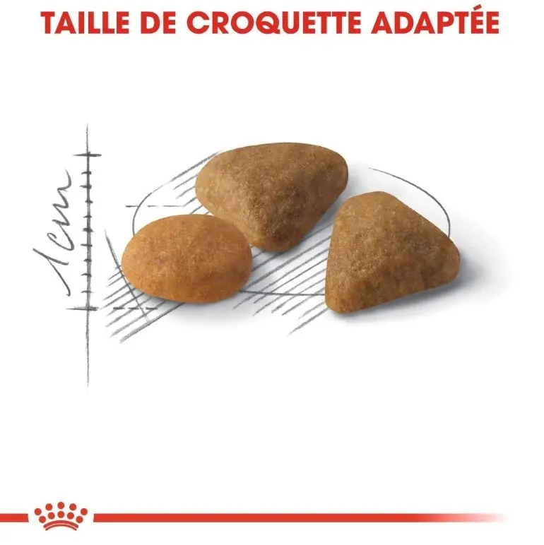 Royal Canin Fussy Exigent 2 Kg +400g GRATUIT miniature 3