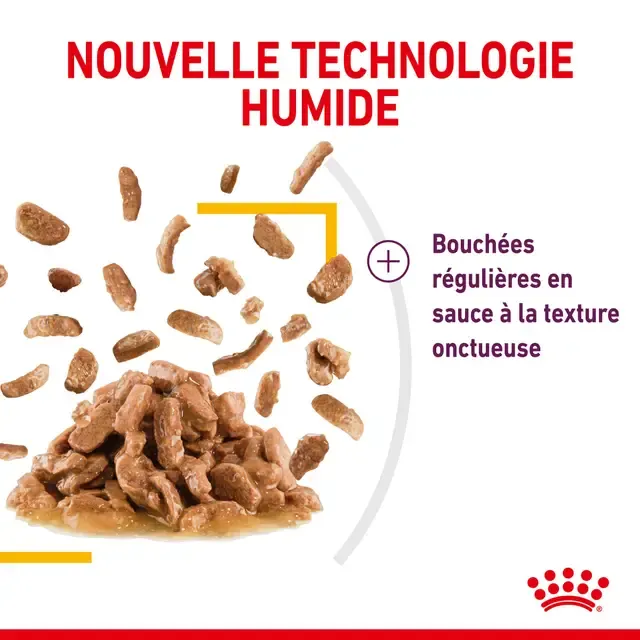 Royal Canin Sensory Taste Pour Chat 85g miniature 4