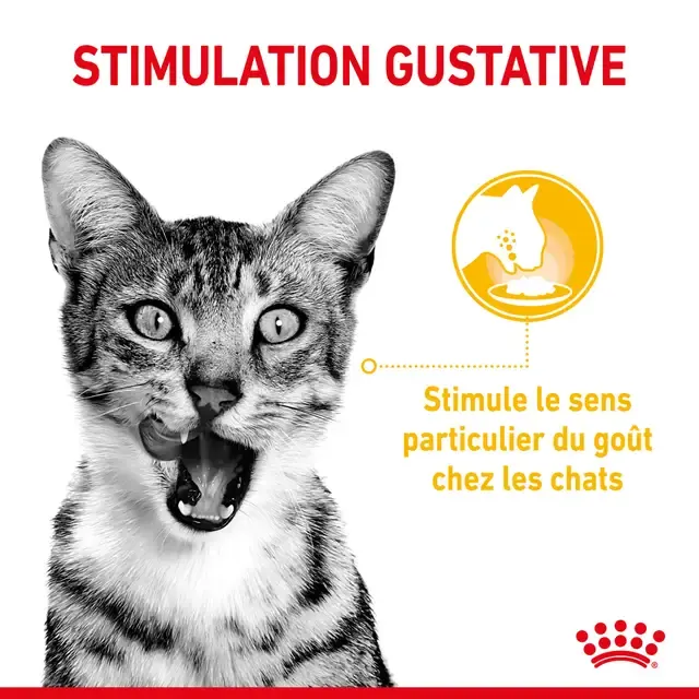 Royal Canin Sensory Taste Pour Chat 85g miniature 5