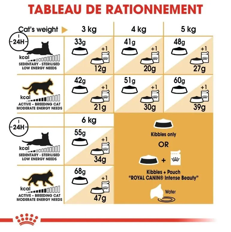 Royal Canin Siamois Adulte 2 Kg + Baril Gratuit miniature 4