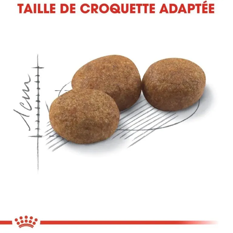 Royal Canin Stérilisé 2 kg | 4 kg | 10 kg miniature 5