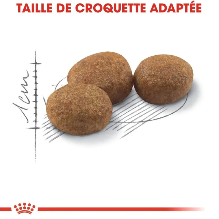 Royal Canin Sterilised 37 - Pour Chat Stérilisé miniature 5