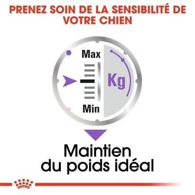 Royal Canin Sterilised en mousse pour chien 85g miniature 4