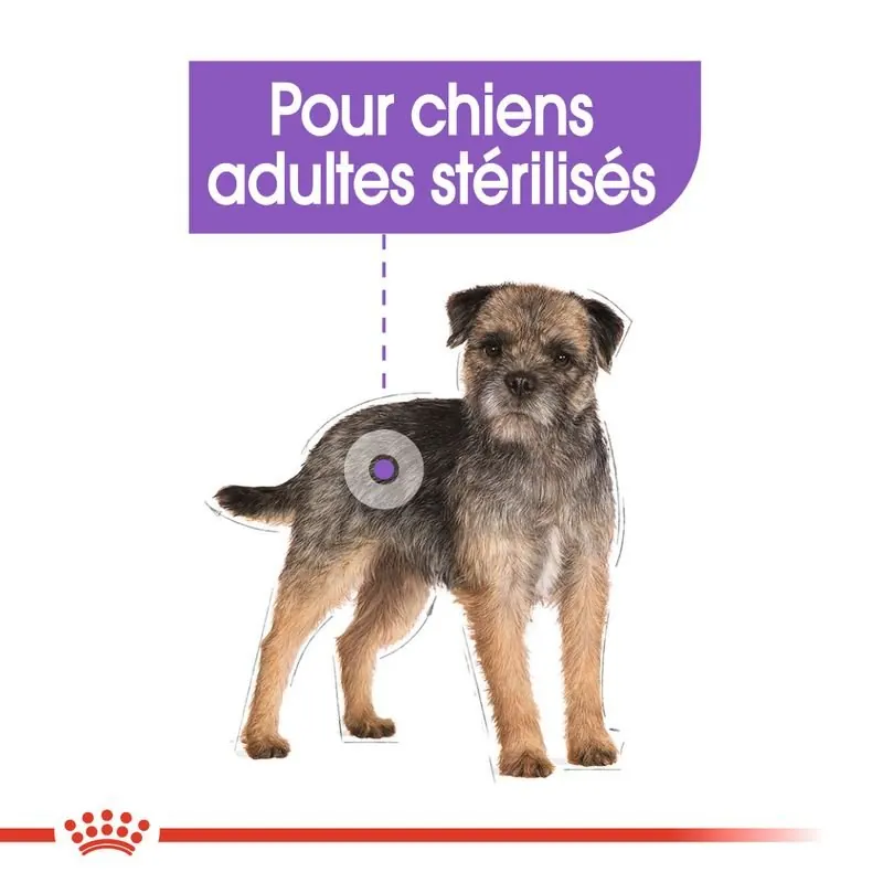 Royal Canin Sterilised en mousse pour chien 85g miniature 5