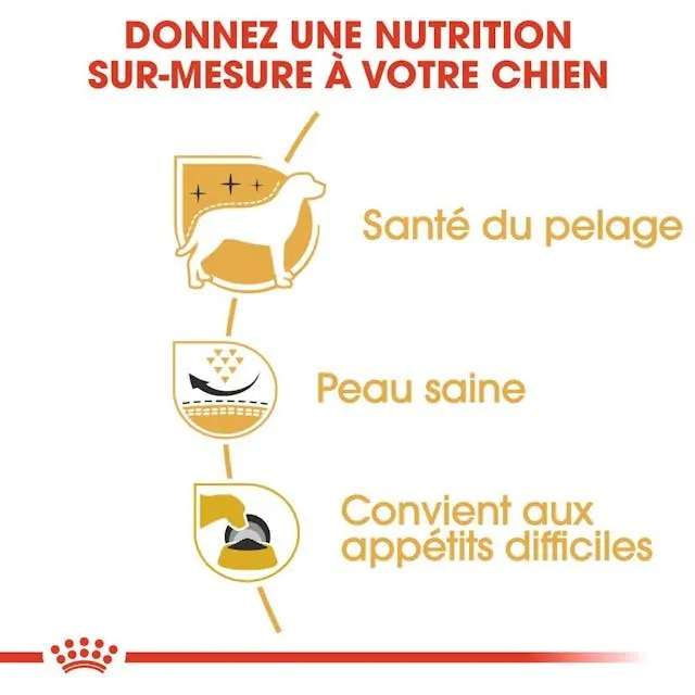 Royal Canin Westie Adulte 3Kg miniature 5