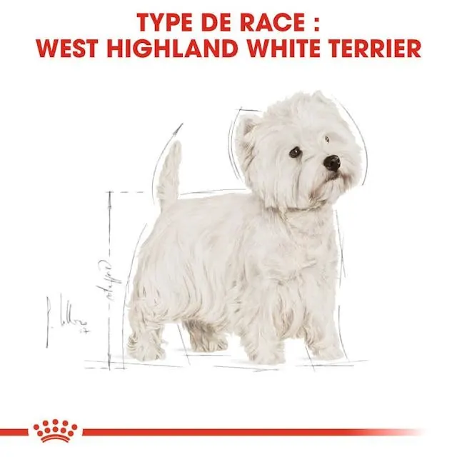 Royal Canin Westie Adulte 3Kg Promo* miniature 3