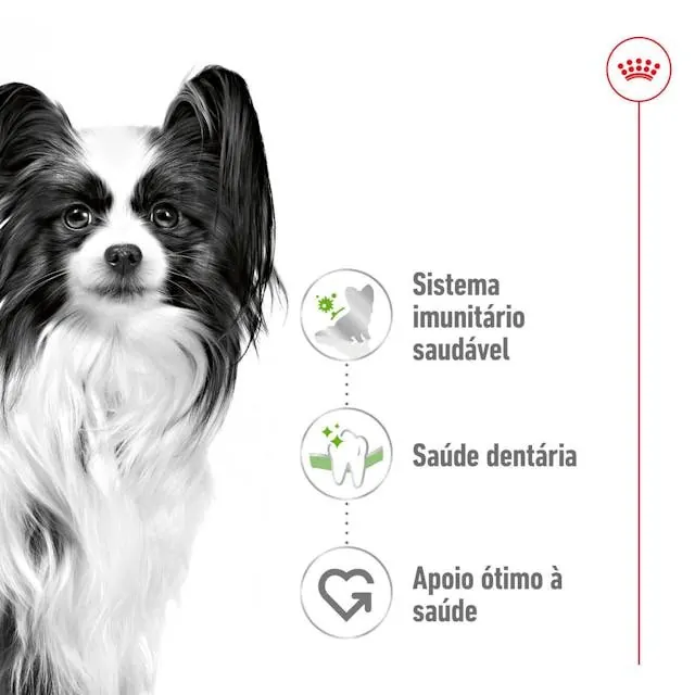 Royal Canin X-Small Adult 1.5 Kg miniature 4