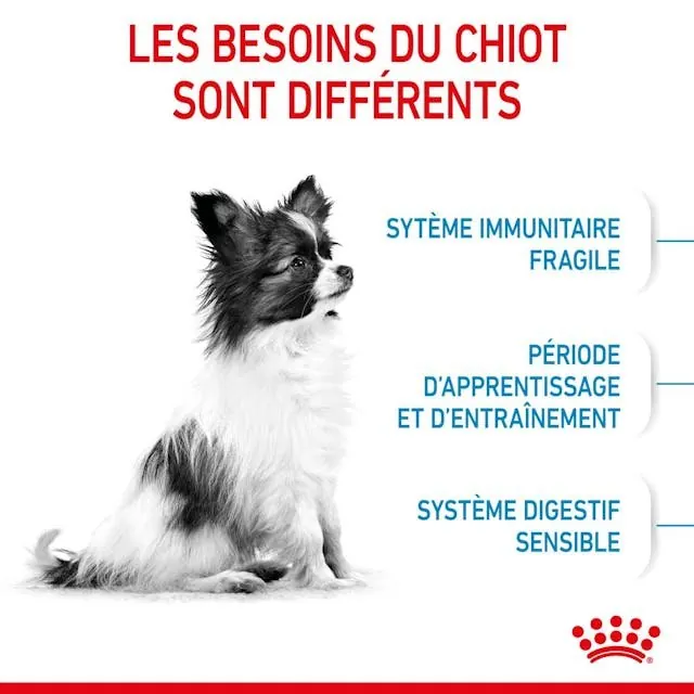 Royal Canin X-Small Puppy pour chiot 1.5 Kg miniature 5