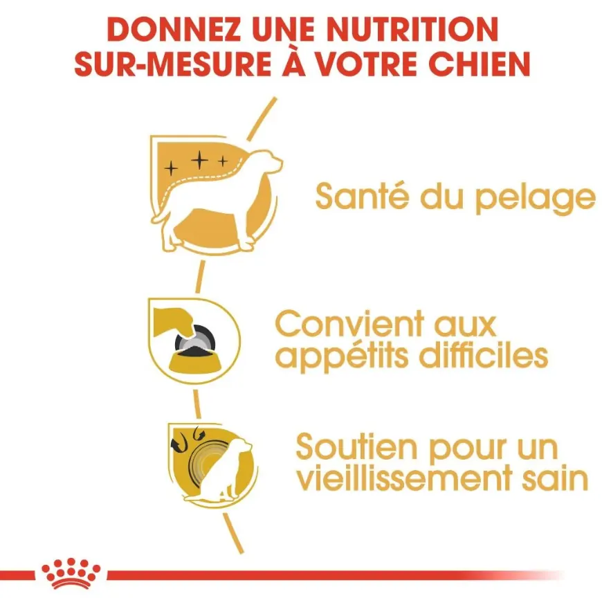 Royal Canin Yorkshire Terrier Adulte 1.5 Kg miniature 2