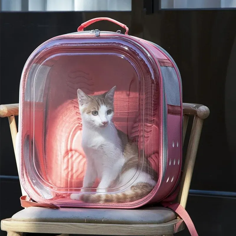 Sac de Transpost Transparent Carré Chat et petit Chien 40x28x28cm miniature 3