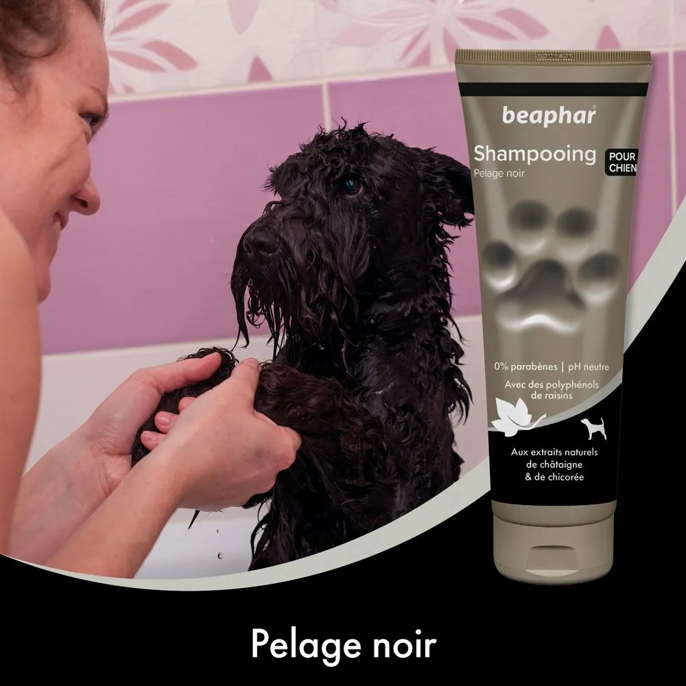 Shampoing Beaphar premium Empreinte Pour pelage noir (250 ml) miniature 4