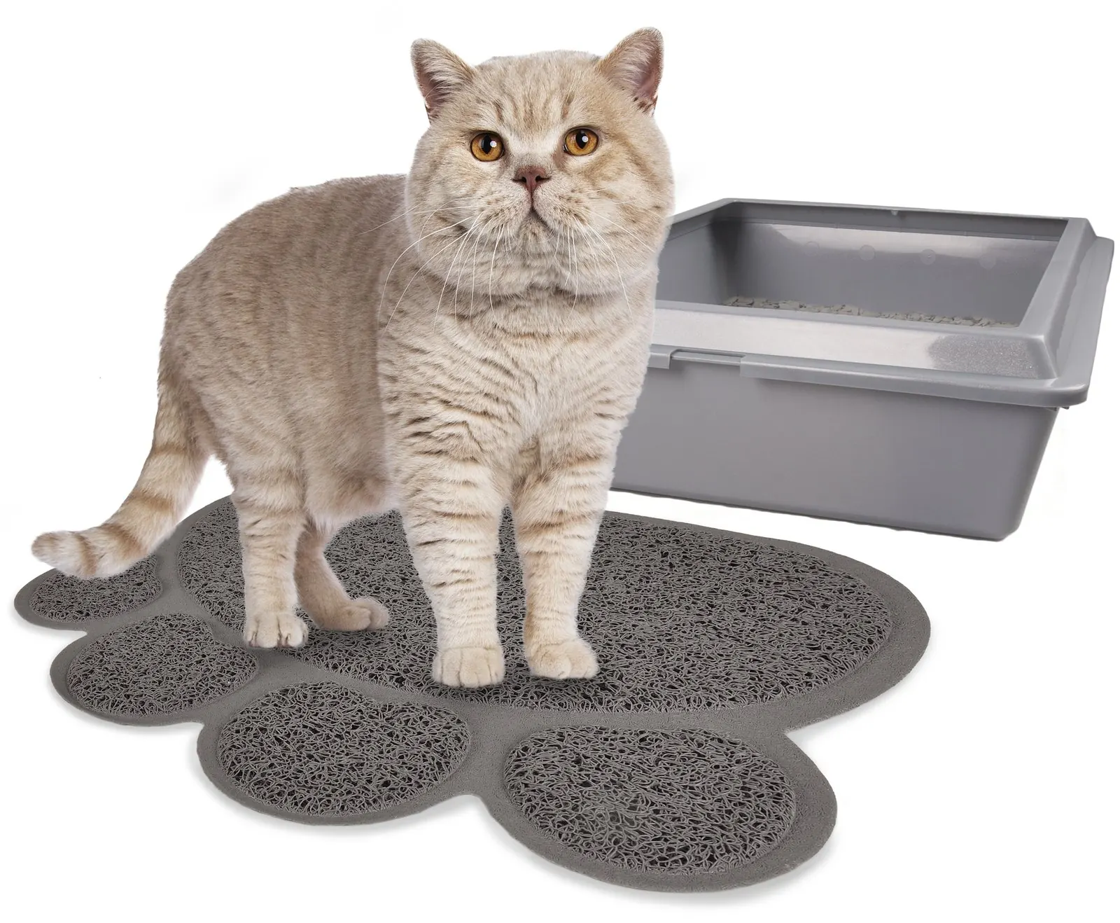 Tapis De Bac à litière Chat Forme de Pattes Flamingo 30×40 cm miniature 2